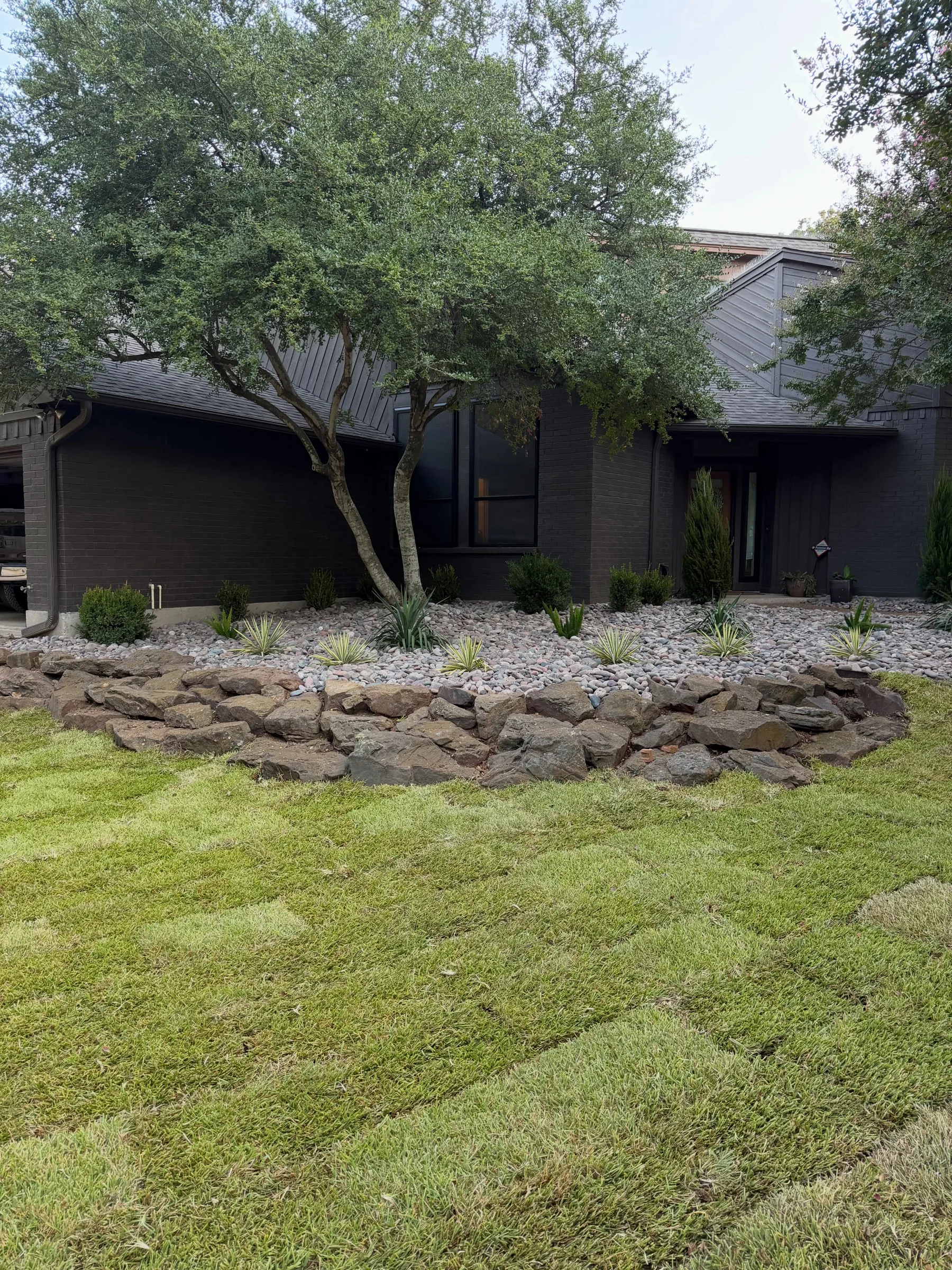 Fresh St. Augustine sod installed in the Southlake landscape project