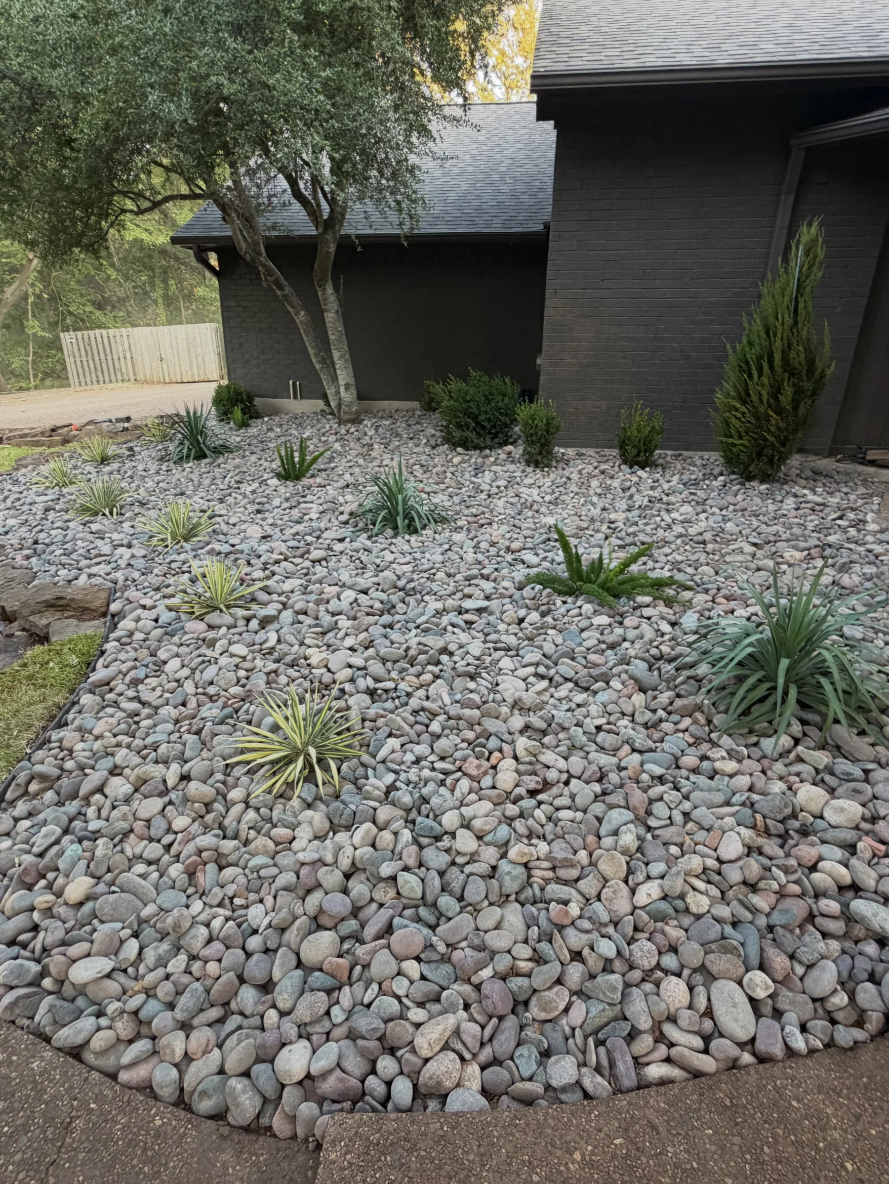 New plants and Arizona River Rock in the Southlake garden